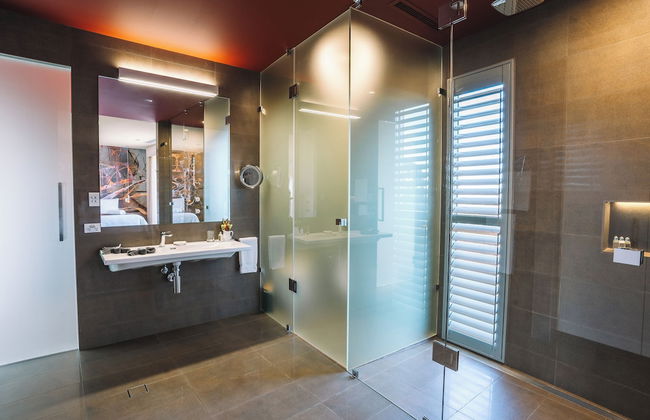 The Frames - Foto 35