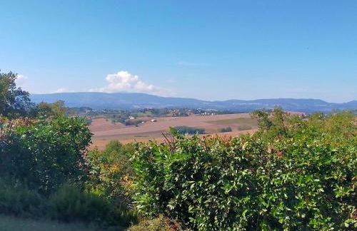 La casa di Cleo - Foto 9