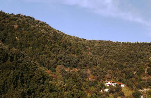 Kleanthi's House - Photo 27