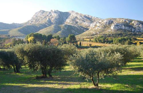 Sous le soleil des Alpilles - Foto 42