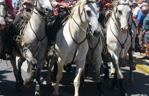 Appartement 2P Cabine proche plage avec garage, lumineux et bien situé au Grau-du-Roi - FR-1-307-136 - Foto 11