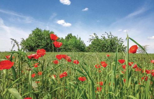 Beautiful Home In Cuccaro Monferrato Al - Foto 29