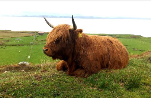 Eilean Donan View - Foto 43