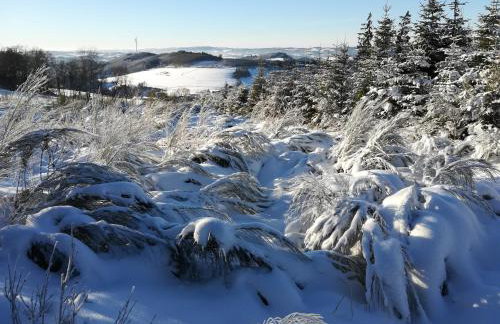 Ferienwohnungen Ingrid Alfes - Foto 59