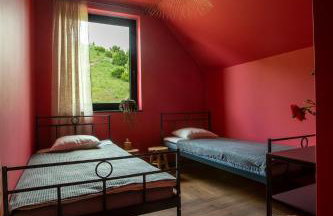 WYWIAŁOWO - Foto 35