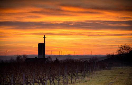 Stilvolle, gemütliche und haustierfreundliche Wohnung - Foto 12