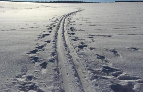 Quiet Comfort in Oelsnitz - Foto 35