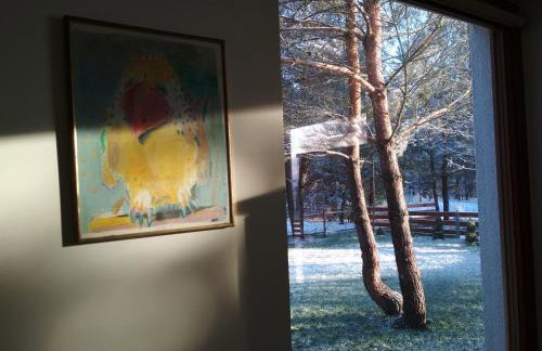 Koci Grzbiet Agroturystyka - Foto 10