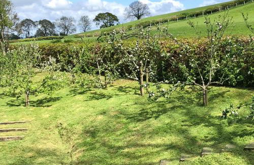 The Peacock Shepherds Hut at Hafoty Boeth - Photo 20