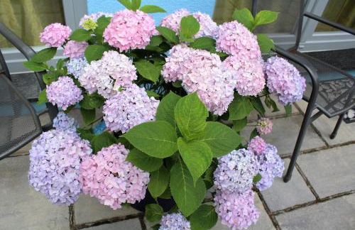 Ferienwohnung am Park - Photo 31