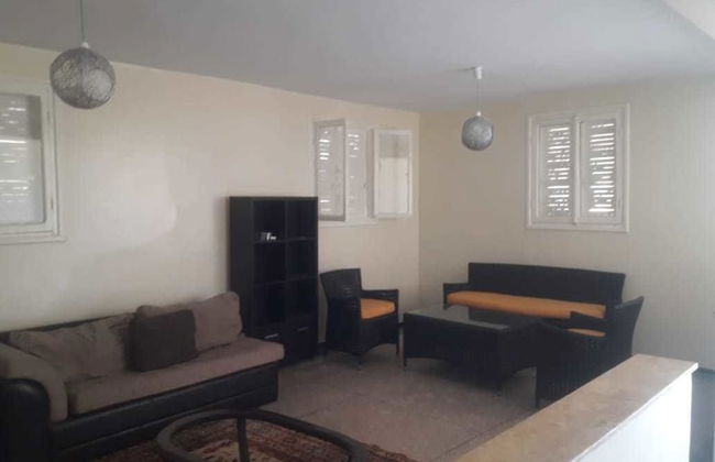 Paloma Pied Sur Sable - Foto 4