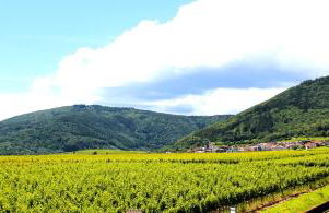 Panoramablick - Foto 1