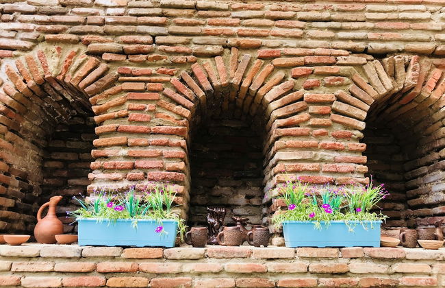 Botanical 21 Apartments - Photo 67