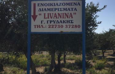 Livanina apartments - Foto 46