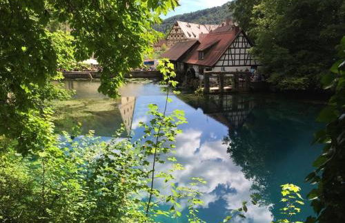 in Haus Kallenberg - Foto 40