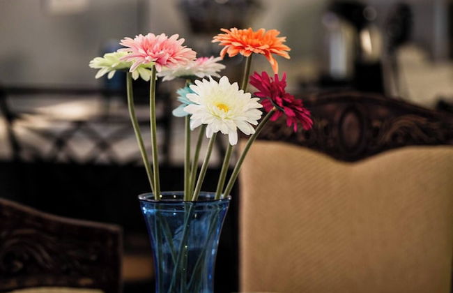 Zeusplace Maria's Olympus Apartment - Photo 29