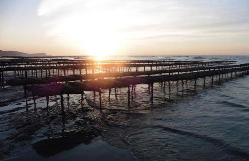 BEL APPARTEMENT CENTRE VEULES LES ROSES 1 CHAMBRE MER 300 M - Foto 18