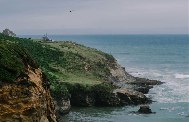 Balade à cheval au parc Tepuhueico - Photo 7