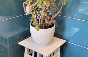 Casa GiòGiò&Casa Gigetta - Photo 13