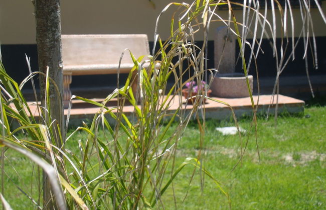 Agriturismo Fieri - Photo 49