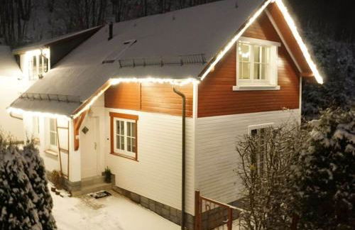 Holiday Home "schwedenhaus Bad Tabarz" - Photo 32