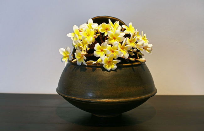 155 SalaCoco - Foto 33