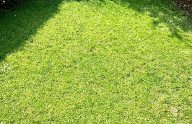 House Olivia 6p With Private Garden and Close to Lake Lauwersmeer - Foto 29