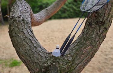 Jemioła Chaty Niedźwiady Małe - Foto 8