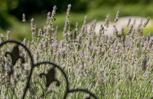 Kuća za odmor Olympus - Foto 73