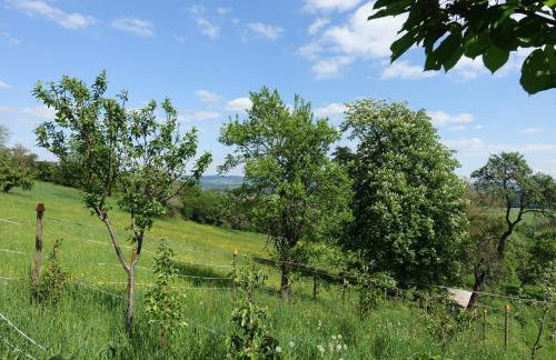 Panorama-Domizil Tauchershof - Foto 22