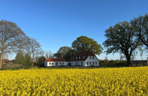 Landhaus an der Schlei - Photo 34