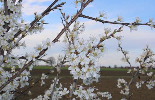 Agriturismo Ravaglia Grande - Photo 32