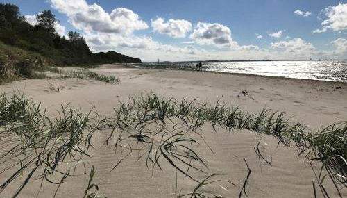 Reetdachhaus Seasons mit Kamin & Sauna - Foto 4