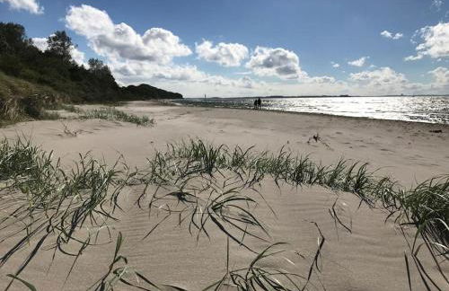 Reetdachhaus Seasons mit Kamin & Sauna - Foto 4