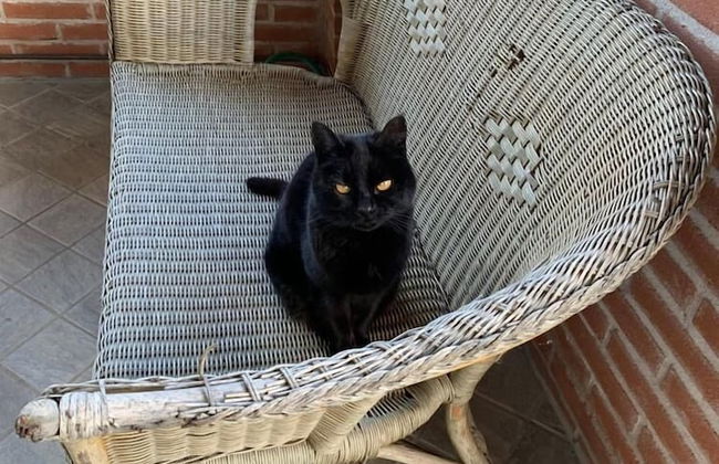 Tenuta di Cascina Diavolo dei Boschi - Foto 28