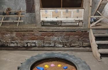 Apartment Erde im Ferienhaus am Waldbach - Foto 11