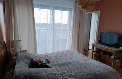 Les Palmiers - Foto 43