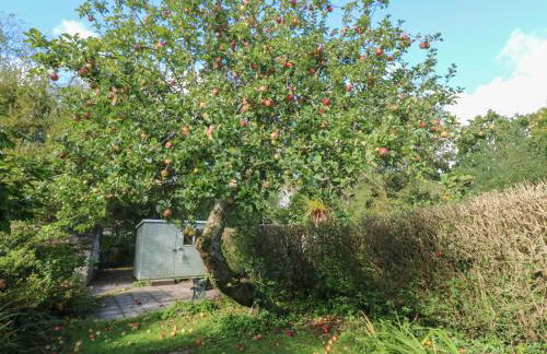 Apple Tree Cottage - Photo 24