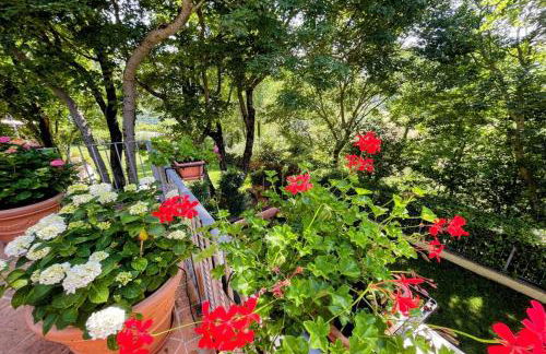 Exclusive Spoleto Country Park Pool Park Activities Mountain View Sleeps 28 - Foto 65