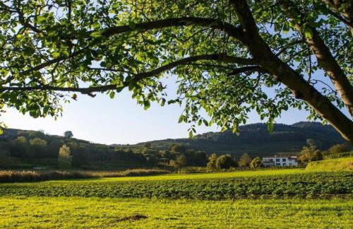 Ferienwohnung Schambachhof - Foto 27