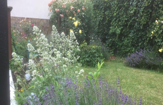 Wohnung mit Terrasse in Zeil am Main - Foto 39