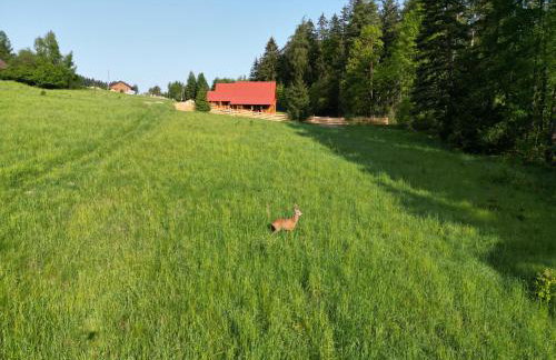 Okno na las - Foto 41