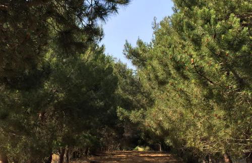 Kipriotis Hotel - Foto 16