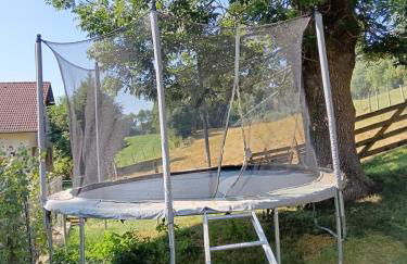 Gîte du Tilleul - Foto 27