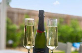 Flamingo Palms - Foto 34