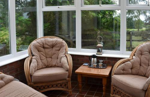 The Swallows - Foto 12