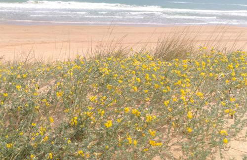 Residencial Olival-Acceso privado playa por jardín - Foto 35