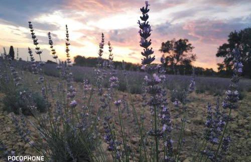 Abrivado Aimargues en petite camargue, parking intérieur, wifi, jardin - Foto 48