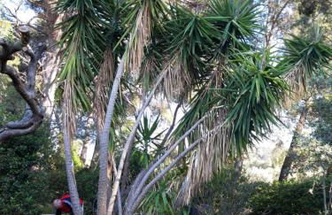 Gîte " Le Clos de la Pinède " - Foto 21