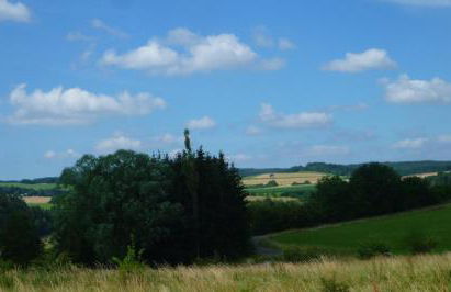 Wolfs Ferienhaus - Natürlich Eifel - Foto 34